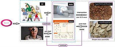 Improved Resting-State Functional Dynamics in Post-stroke Depressive Patients After Shugan Jieyu Capsule Treatment